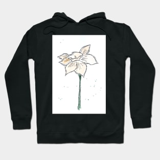 Narcissus. Spring Flower. Watercolor, art decoration, sketch. Illustration hand drawn modern Hoodie